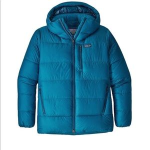 Patagonia Fitz Roy Down Parka